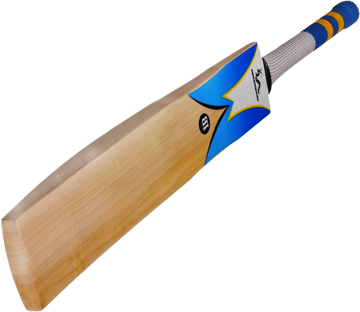 bat image