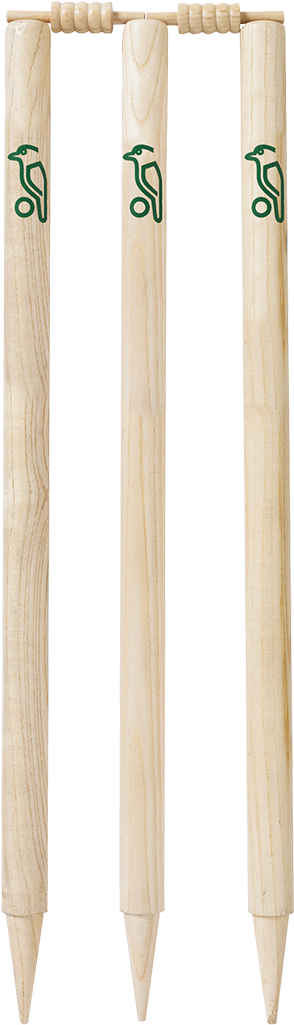 stump image